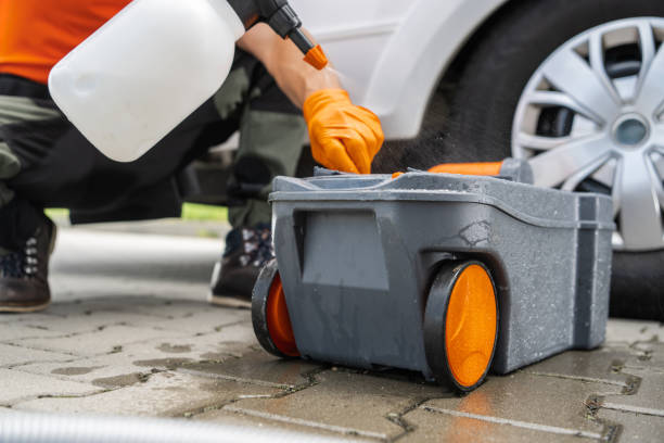 Best Lawn Pest Prevention  in Olyphant, PA